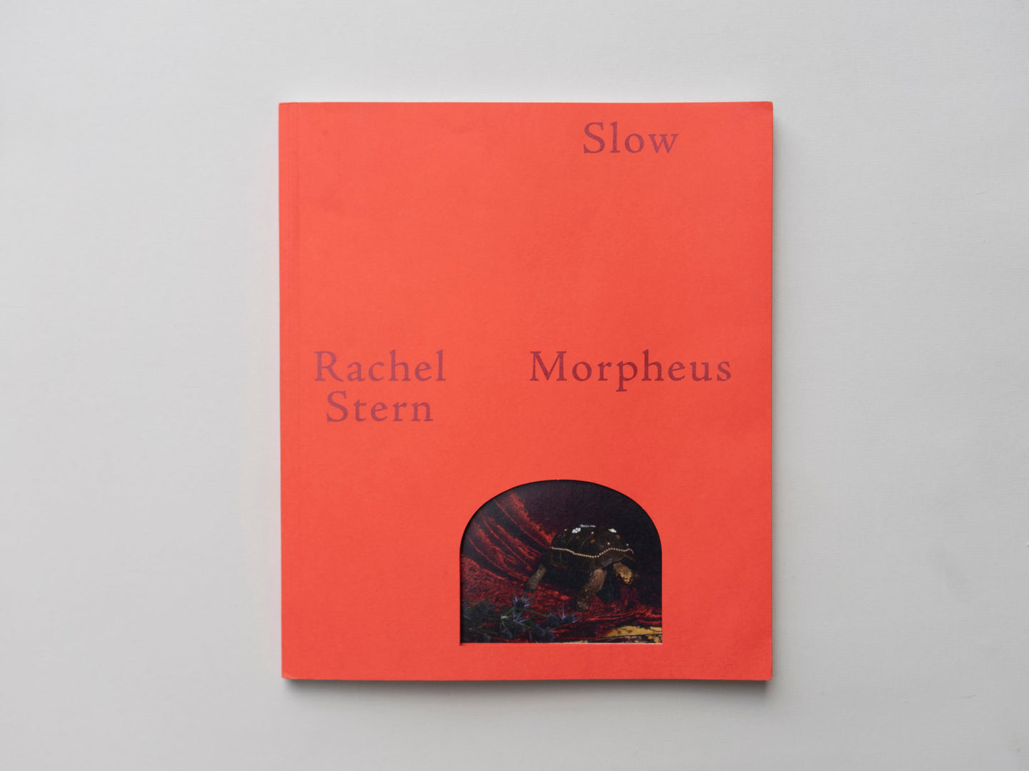 Slow Morpheus by Rachel Stern