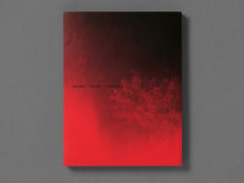 Load image into Gallery viewer, Broken Spectre by Richard Mosse