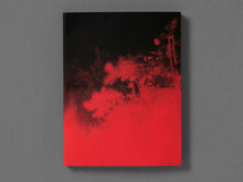 Load image into Gallery viewer, Broken Spectre by Richard Mosse