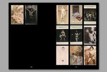 Load image into Gallery viewer, An Educational Archive of 2863 Slides by Frido Troost