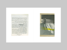 Load image into Gallery viewer, You Could at Least Pretend to Like Yellow by Katrien De Blauwer