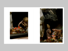 Load image into Gallery viewer, Behind Glass by Lisa Sorgini