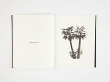 Load image into Gallery viewer, A Few Model Palm Trees by Bruno Roels