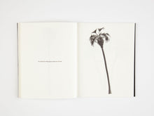 Load image into Gallery viewer, A Few Model Palm Trees by Bruno Roels