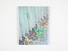 Load image into Gallery viewer, Notes on Ordinary Spaces by Ola Rindal
